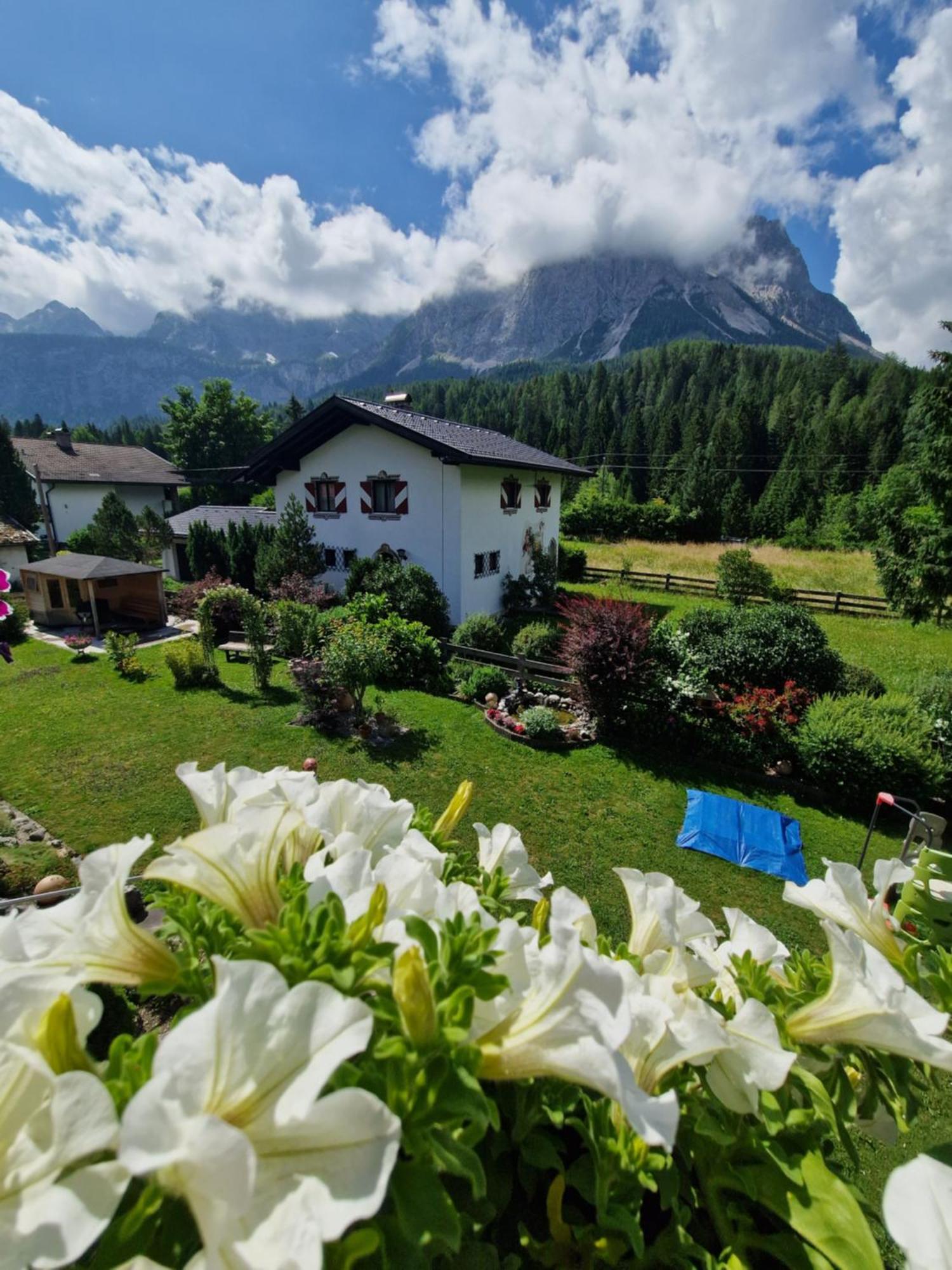 Gastehaus Schoeneweiss